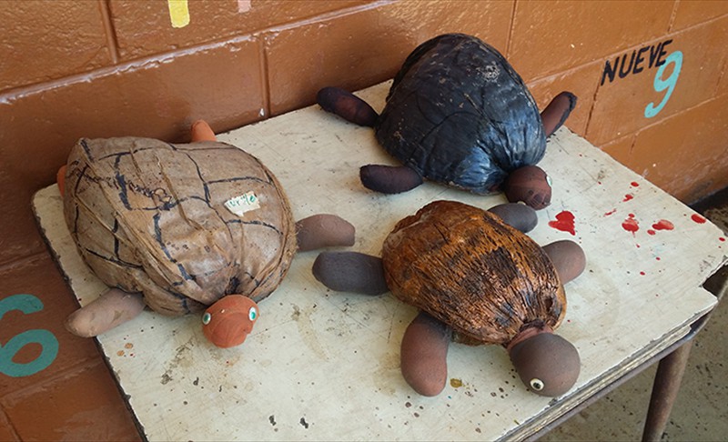 Turtle made from coconut shell